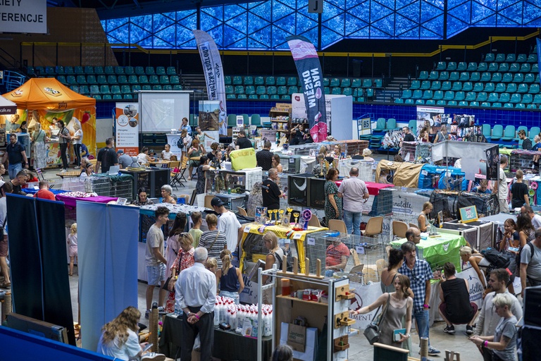 Międzynarodowa wystawa kotów rasowych w hali Orbita we Wrocławiu, 7-8 września 2024